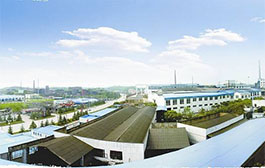 四川威遠(yuǎn)鋼鐵廠